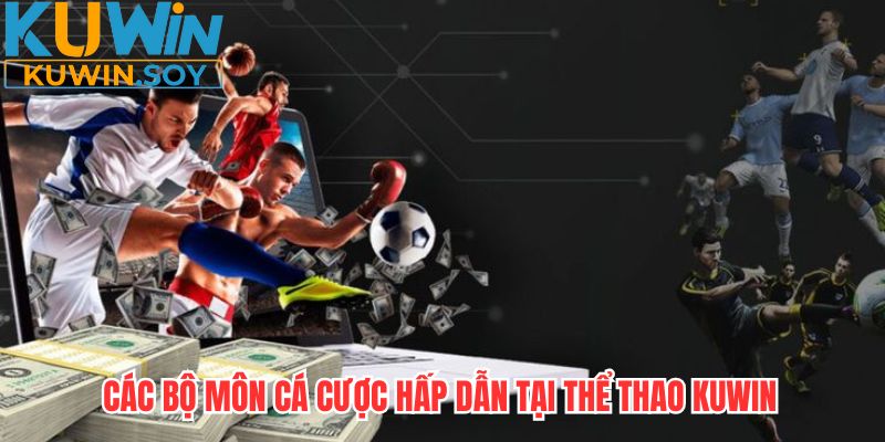 Các thể loại cá cược thể thao KUWIN đầy kịch tính