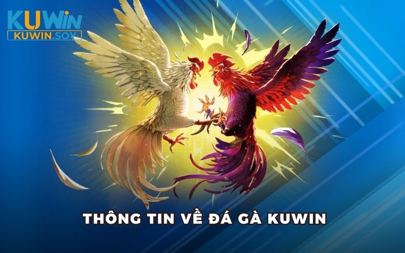 Thông tin về đá gà Kuwin